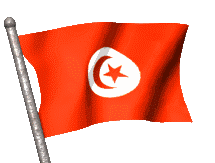 Drapeau de la Tunisie - Flagge von Tunesien