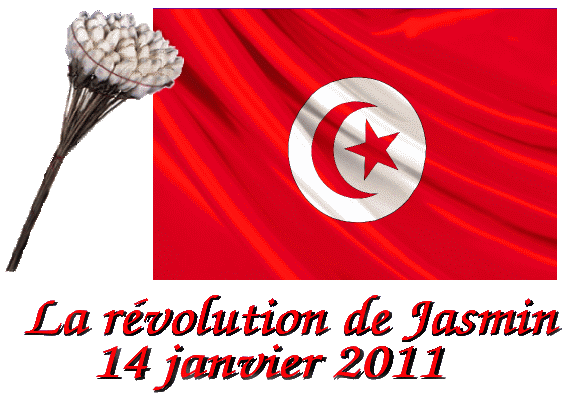 La révolution tunisienne de Jasmin - 14 janvier 2011 --- Die tunesische Jasmin-Revolution - 14. Januar 2011
